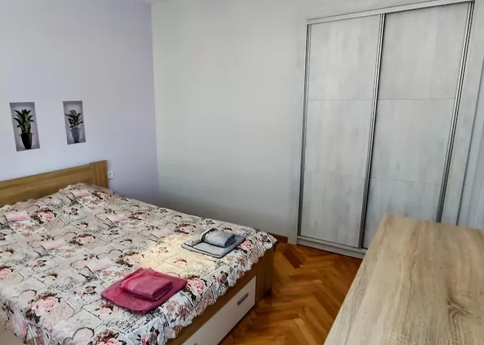 Violet's Dream * プロヴディフ